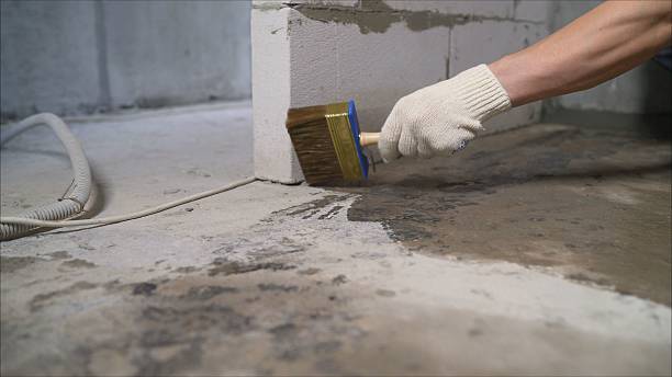 24/7 Emergency Wet Basement Repair experts in Buffalo Grove, IL